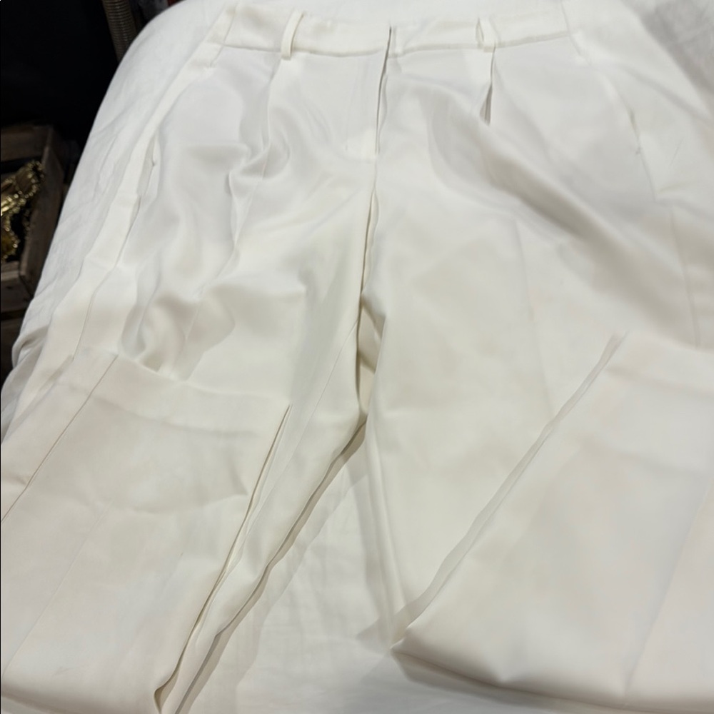Express Men's Cream Dress Pants